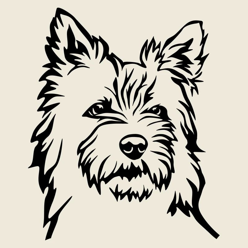 Cairn Terrier