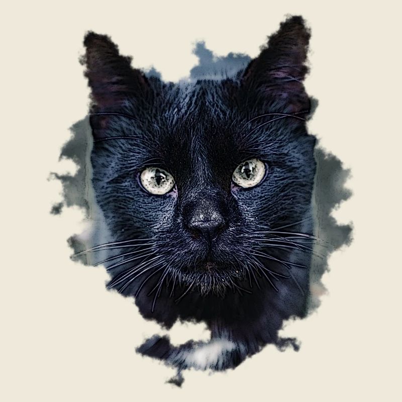 blackcat/ schwarze Katze