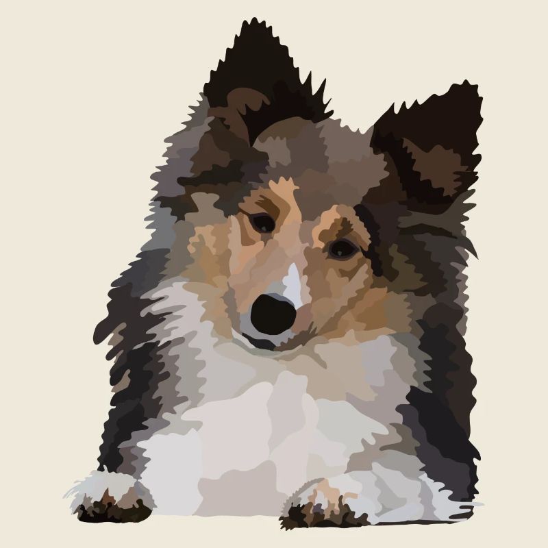 Dani, der Sheltie