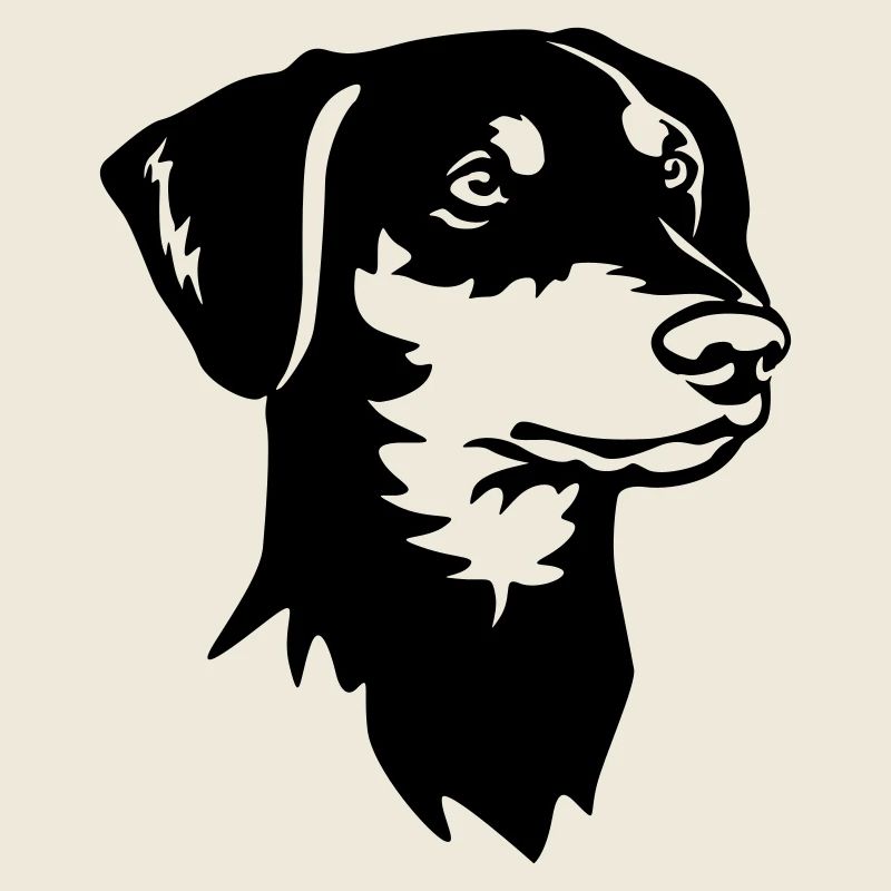 German Pinscher Head