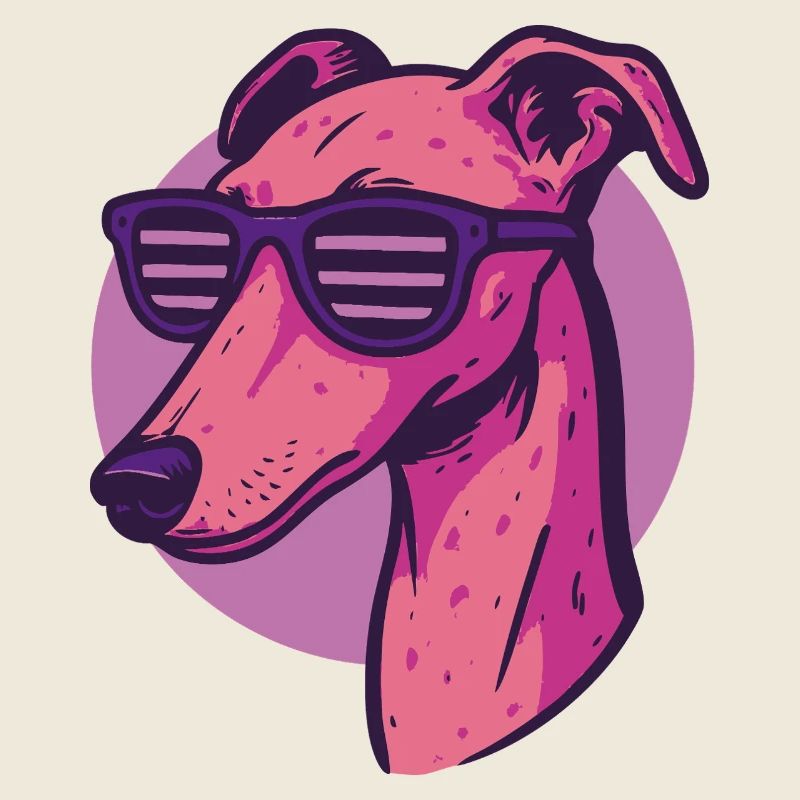 Lévrier, Galgo