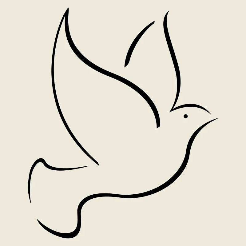 bird dove Taube Vogel peace