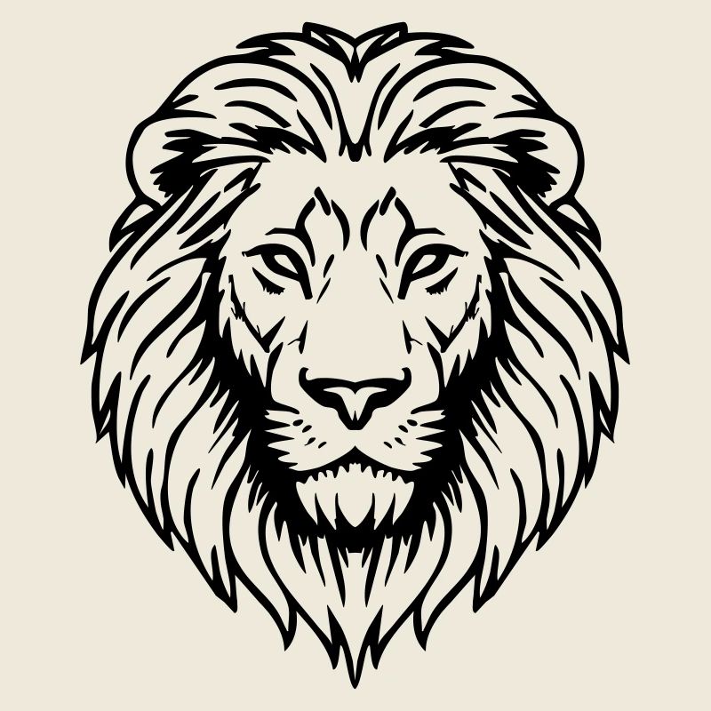 lion illustration