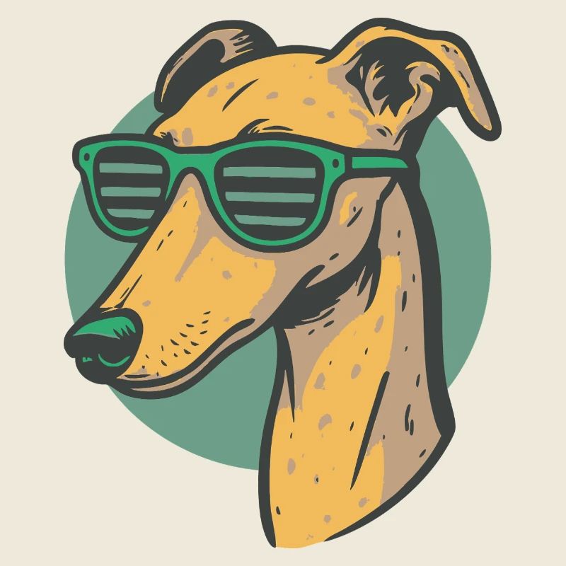 Lévrier, Galgo