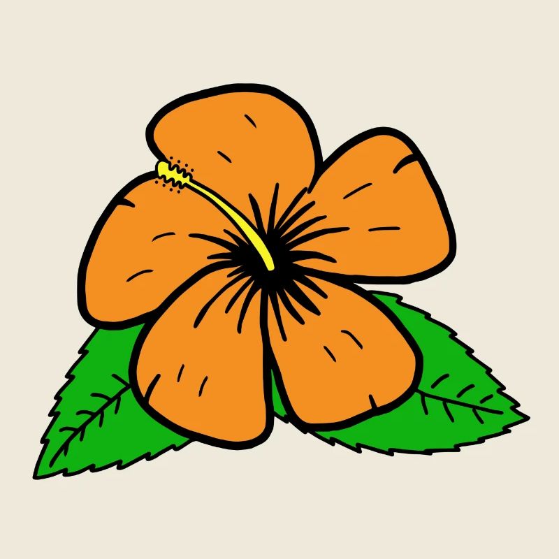 Hibiscus