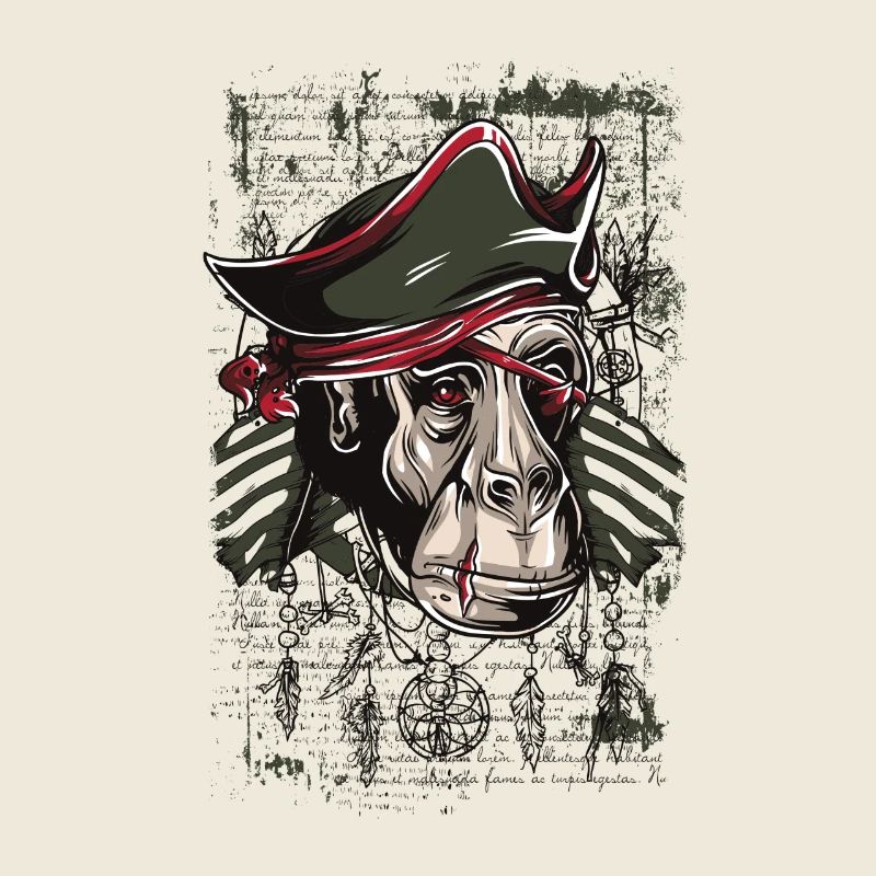 pirate monkey