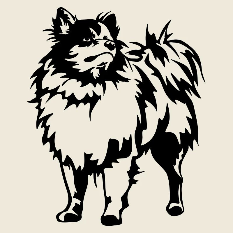 Spitz