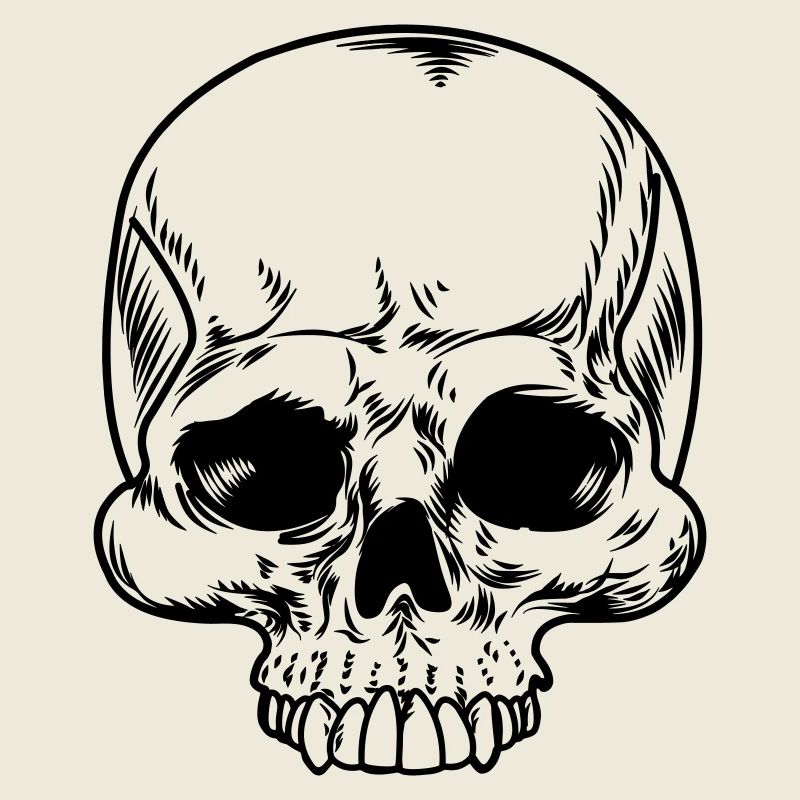 Schädel transparent