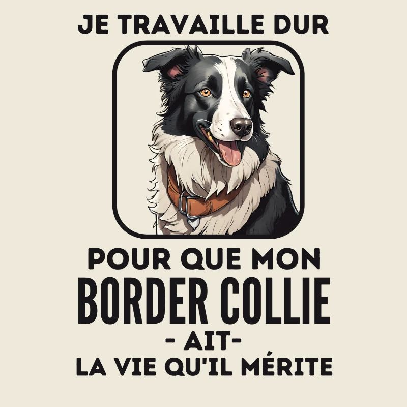 Chien de race border collie 5