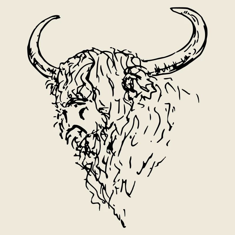 Harte Strichzeichnung Schottischer Highlander oder Büffel