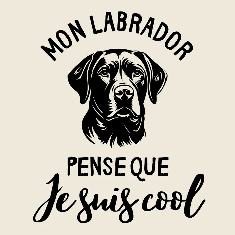 Labrador sport canin