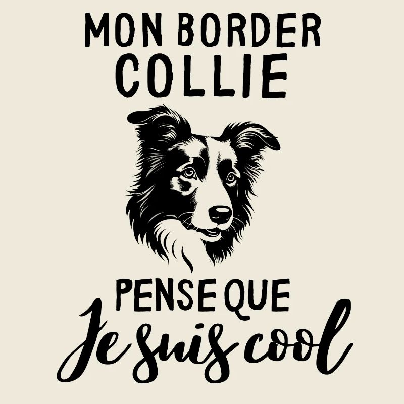 Chien berger border collie