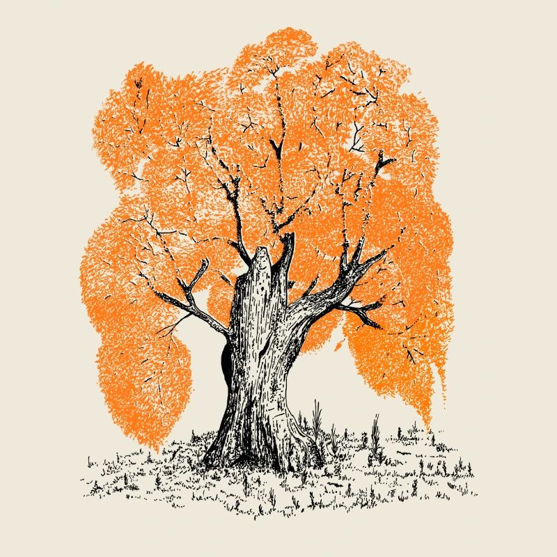 MJR - Orange Tree