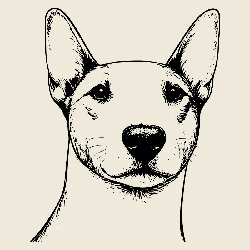 Bullterrier Umrisse