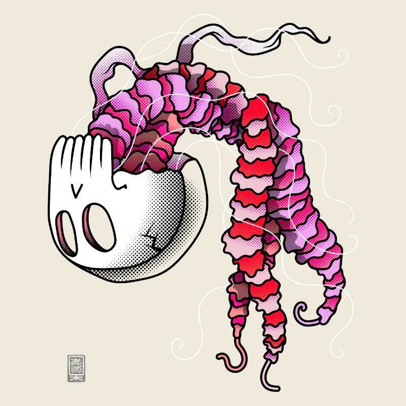 Jellyfish