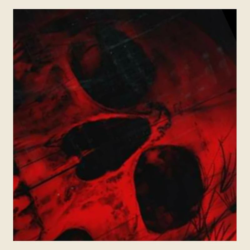 Rotes Schattenmuster Schädel