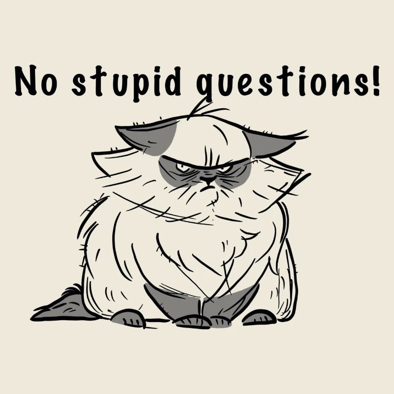 Pas de questions stupides !