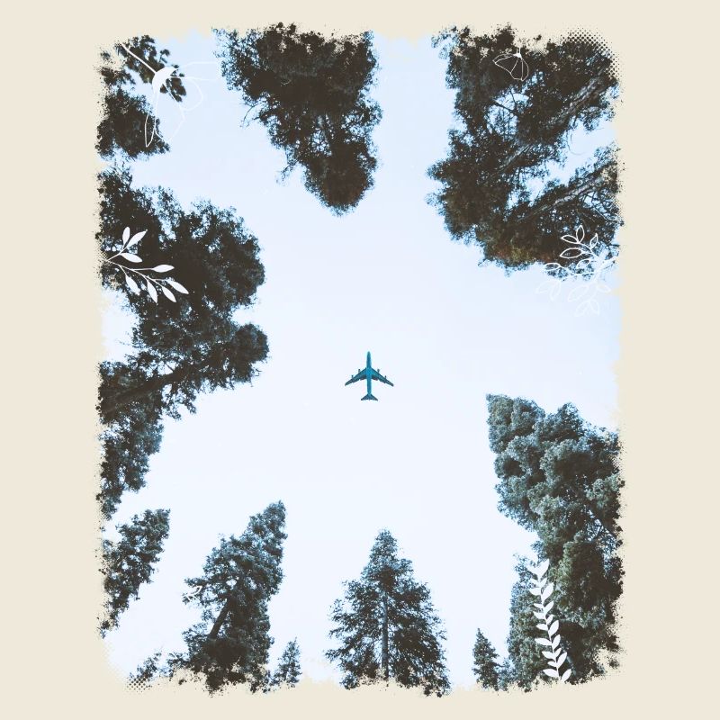 Plane