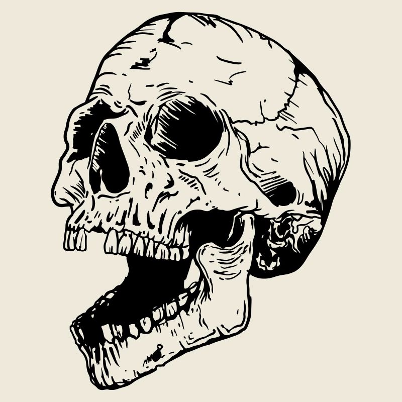 Skull