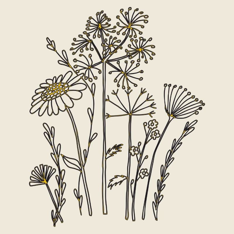 Dried Flowers Orange