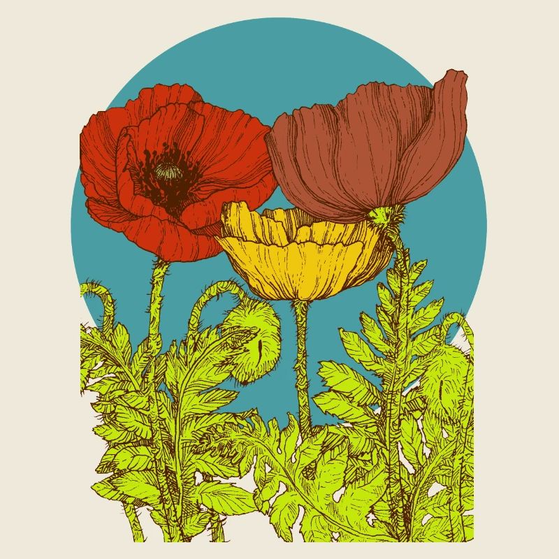 Poppies