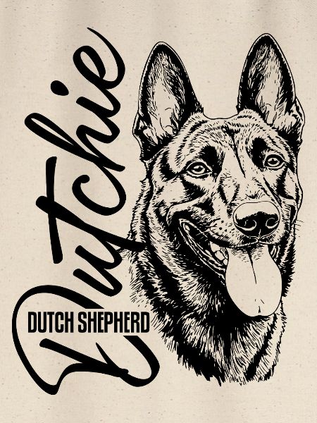 Dutchie - Holländischer Schäferhund