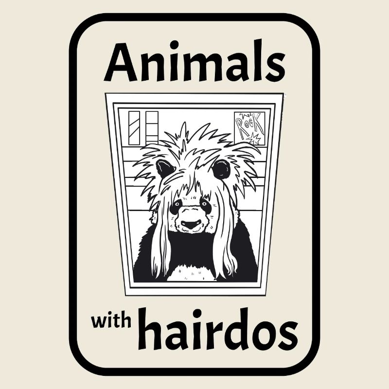Panda with hairstyle