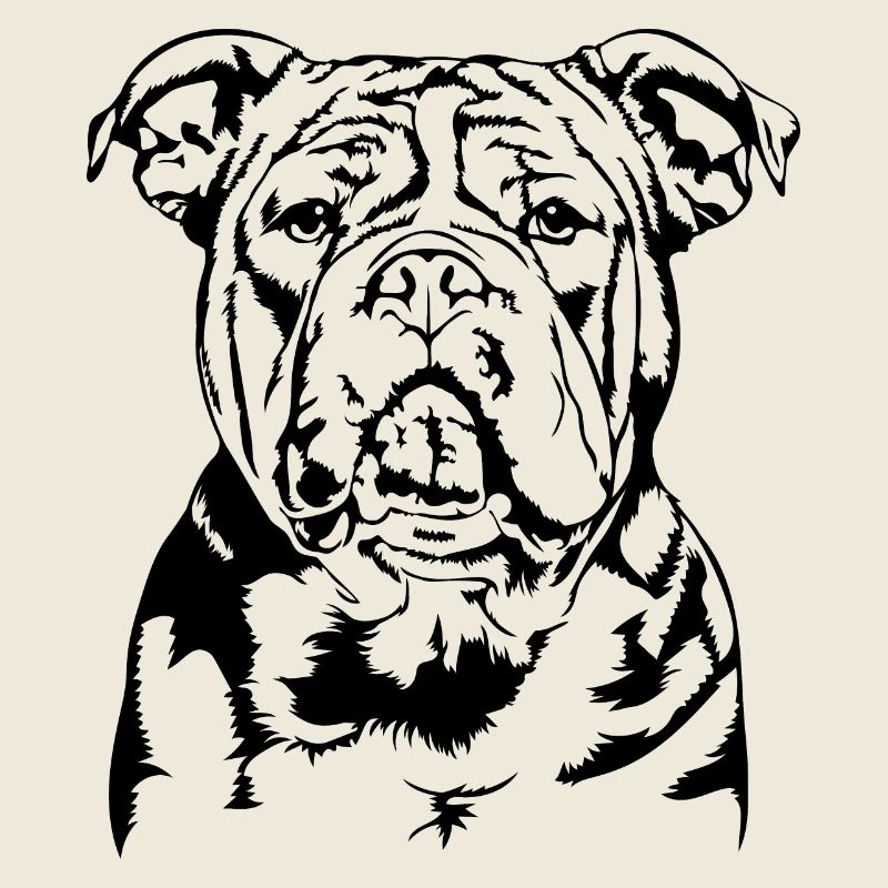 American Bully Portrait Hunde Hund Wilsigns