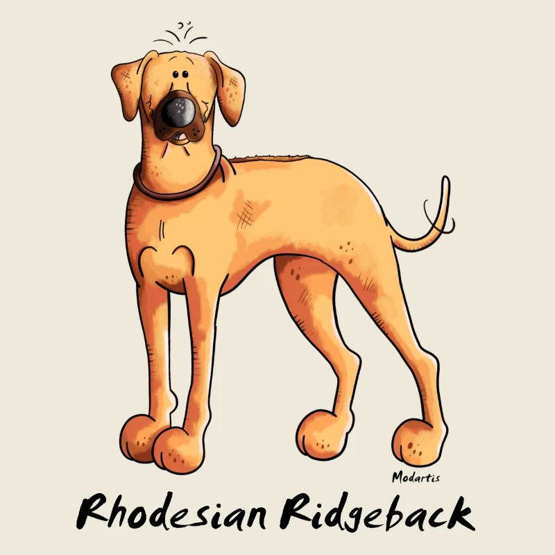 Cute Rhodesian Ridgeback