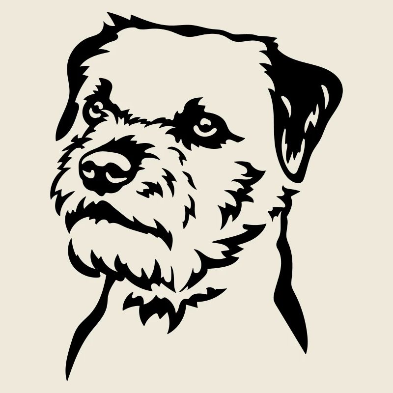 Tête de Border Terrier
