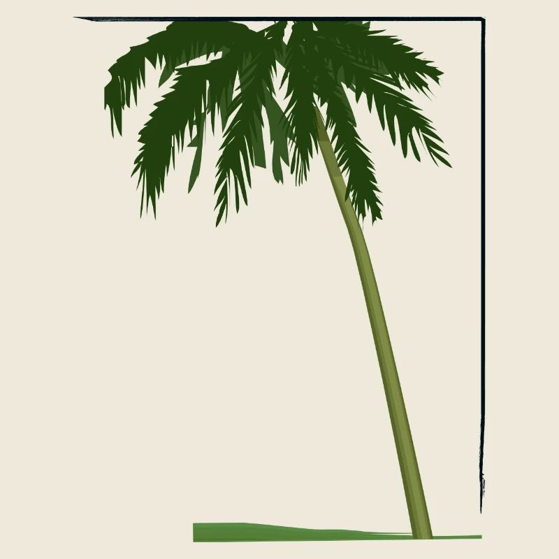 Palme in Rahmen | palm tree in frame