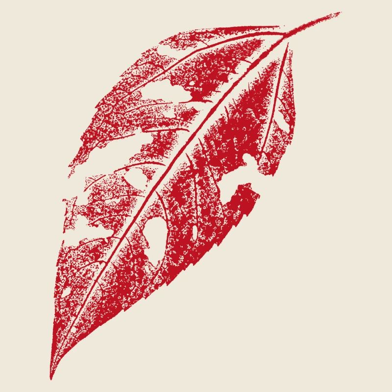 Blatt Topinambur - Rot