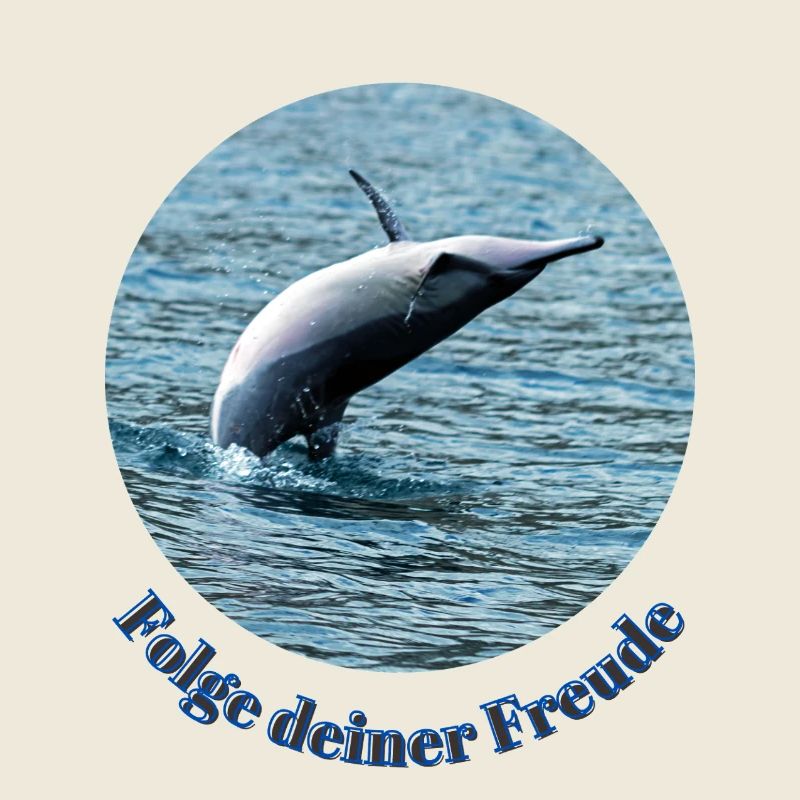 Lebensfreude pur– Springender Delfin vor Mauritius