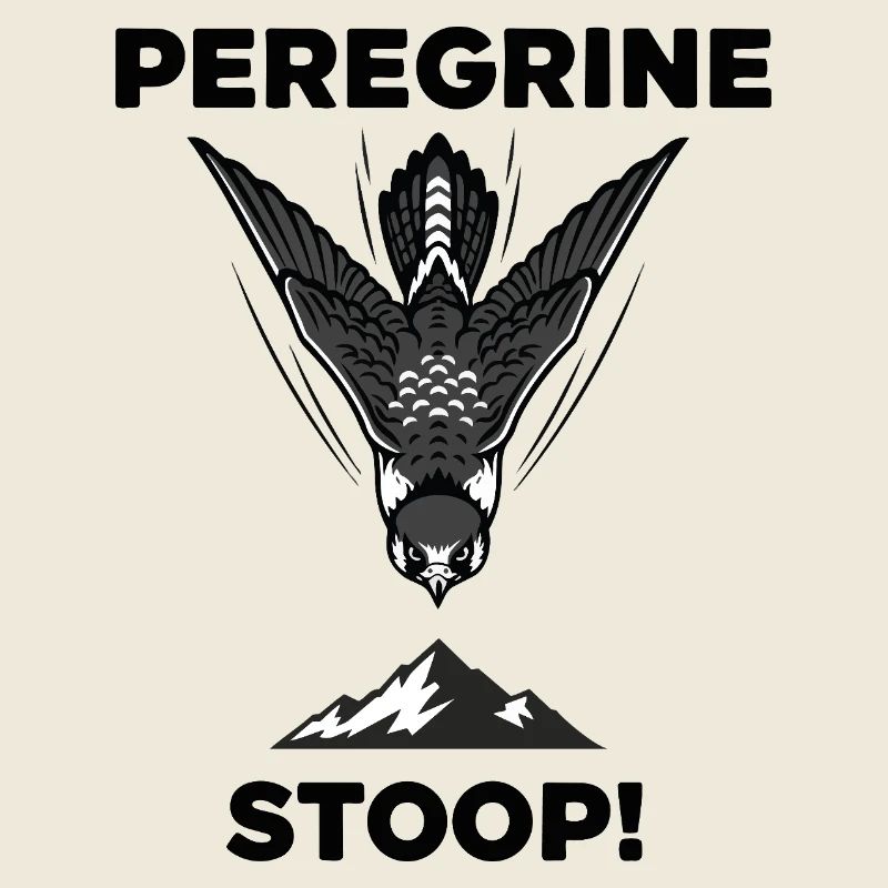Peregrine Falcon Stoop Hunting Peregrine