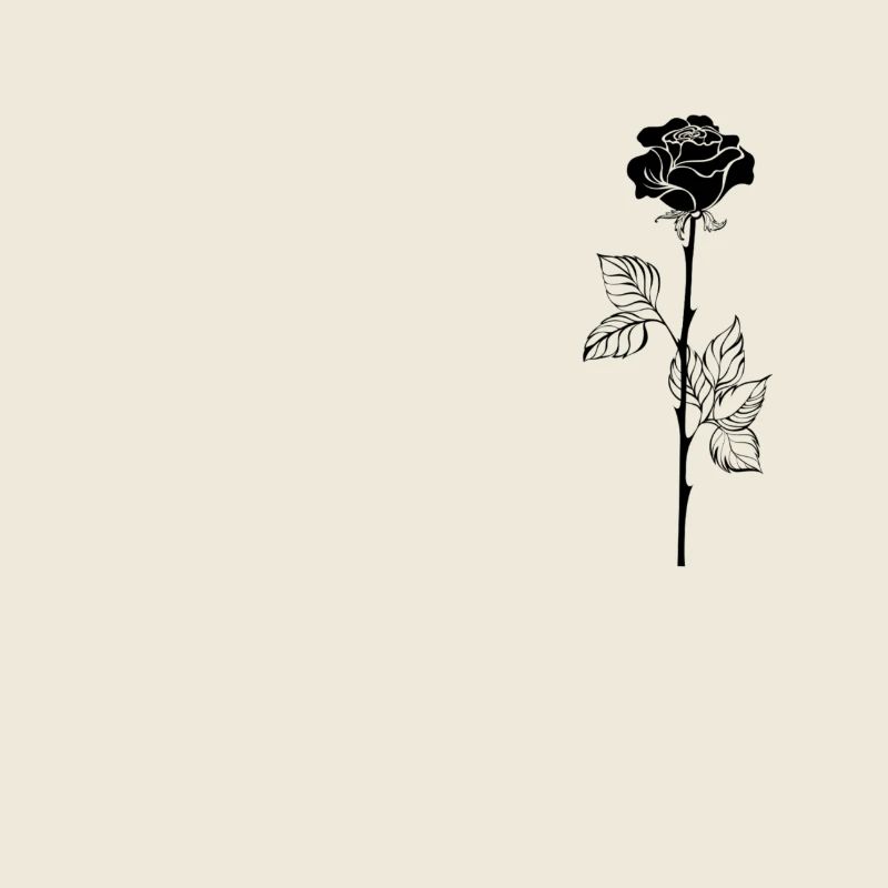 Black Rose