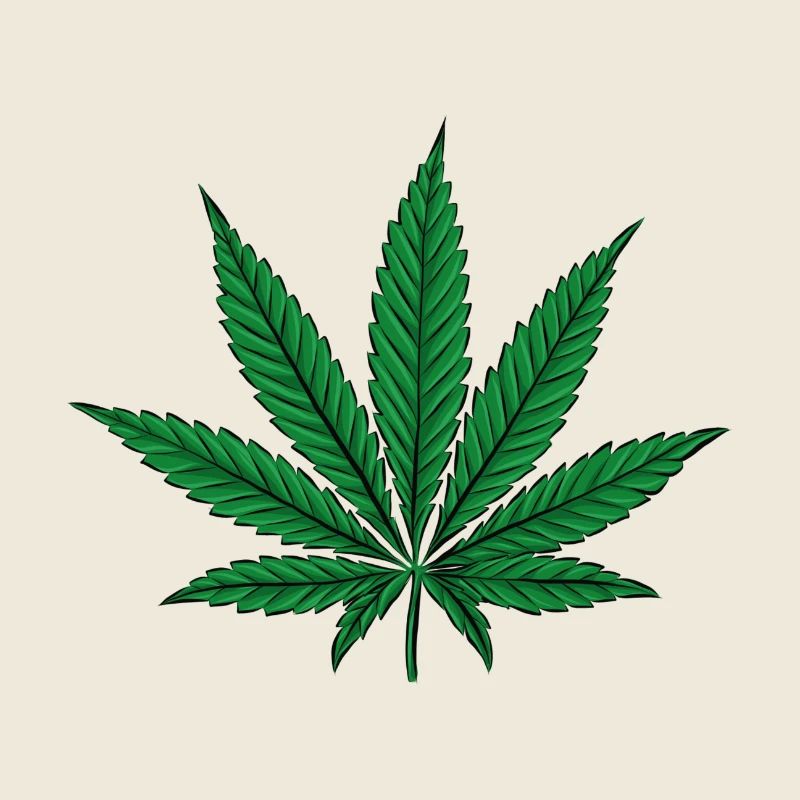 Cannabis Leaf