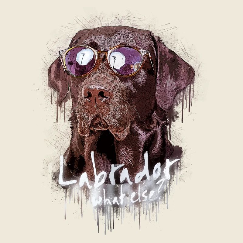 Labrador mit Sonnenbrille