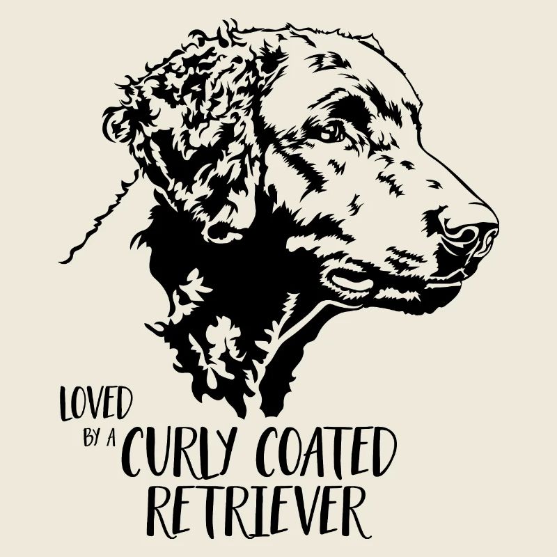 Aimé par un chien Retriever à poil bouclé Wilsigns