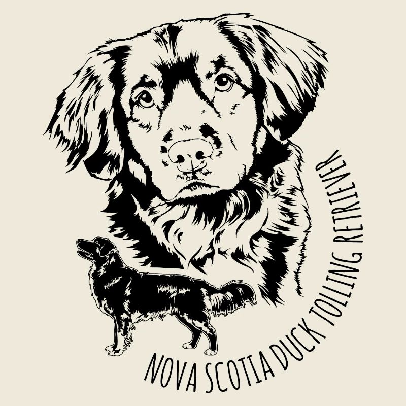 Nova Scotia Duck Tolling Retriever Toller Wilsigns