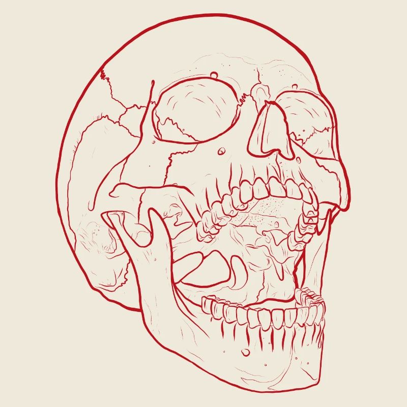 Silent Fall - Crâne en rouge