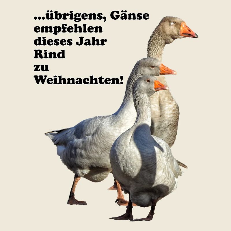 Oie de Noël Recommandation Boeuf