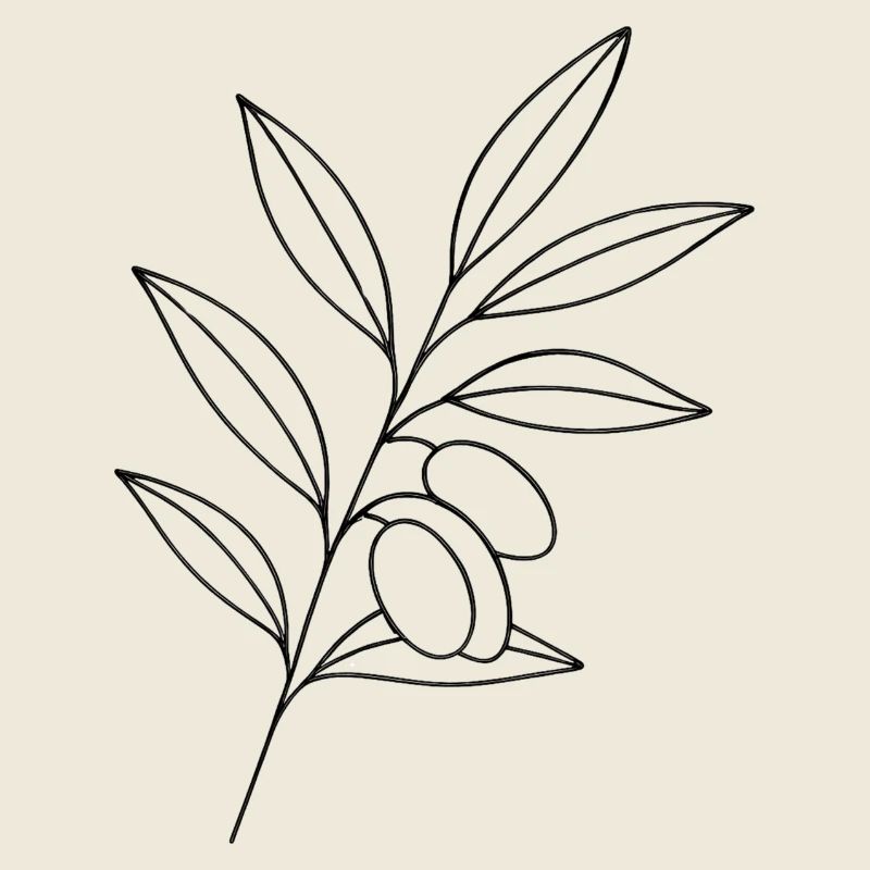 Olivenzweig Linienkunst