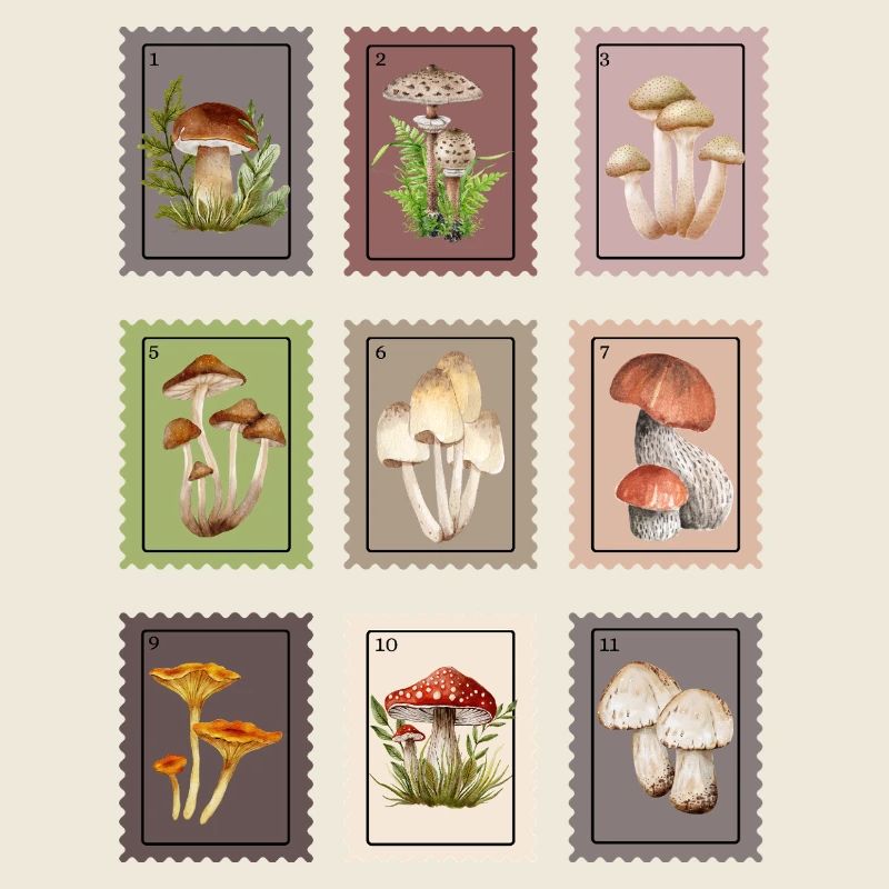 Pilz Design 