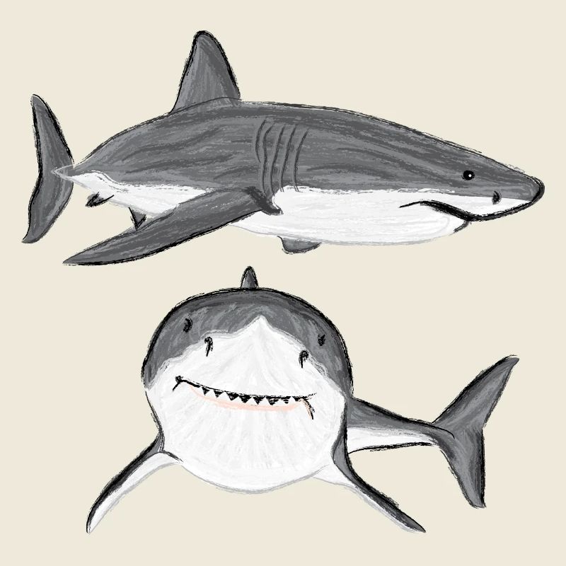 Great White Shark V design