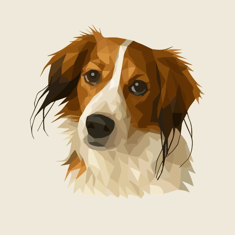 Kooikerhondje in polygon style