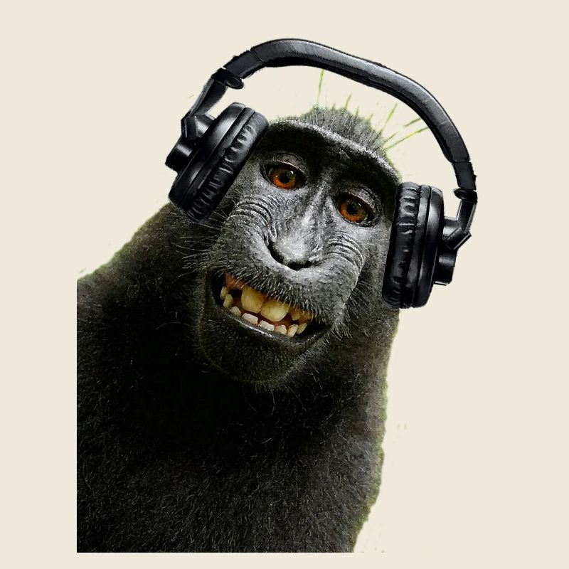 Hemd Monkey Music von Custom
