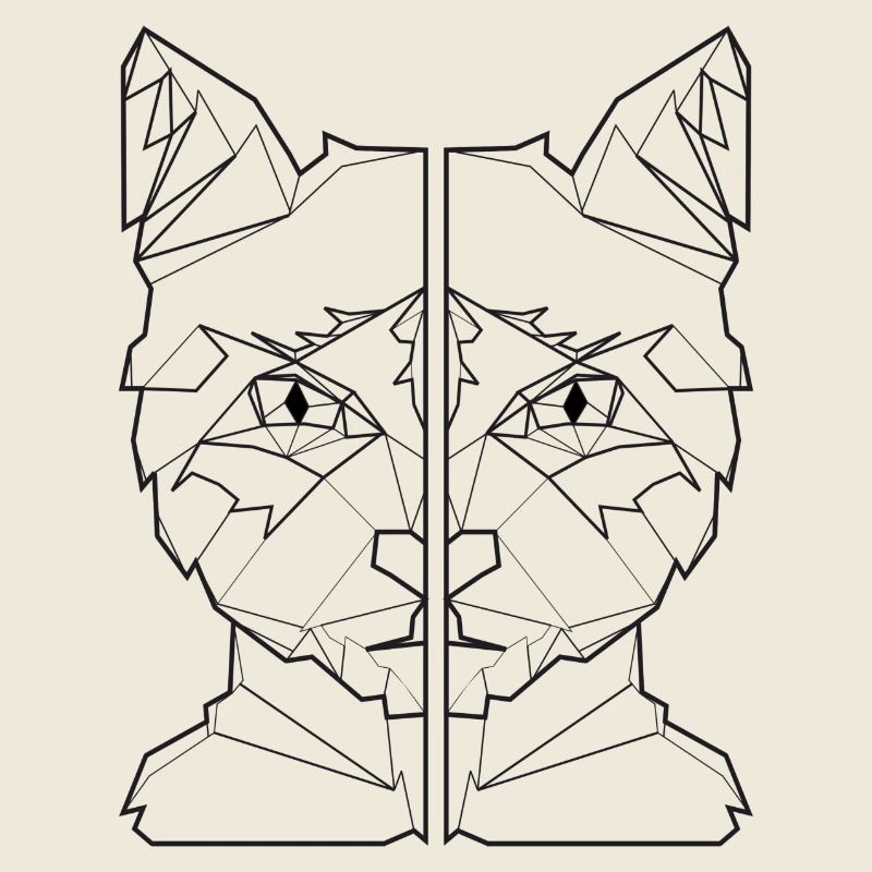 ami chat, ami de chat, chemise de chat