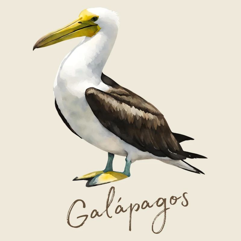 Vogel der Galapagos-Insel