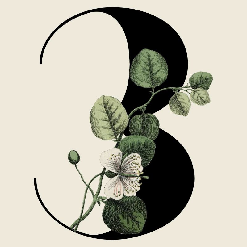 Nummer 3 Blumengrün -3. Blumengeburtstag