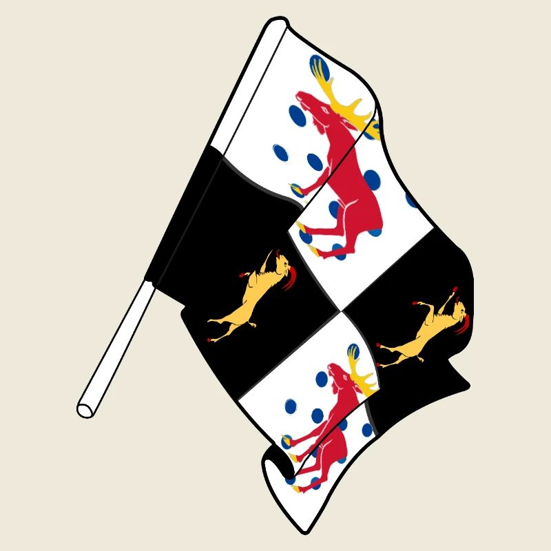 Gävleborg, Schweden – Stolz auf die Flagge